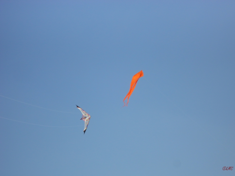 Fanoe_2013_082