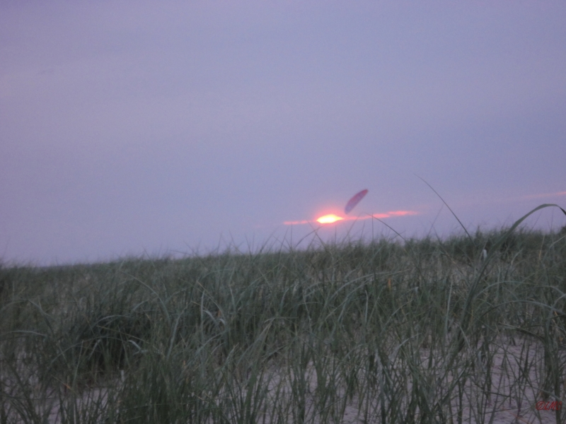 Fanoe_2013_090