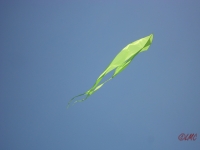 Fanoe_2013_066