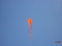 Fanoe_2013_067