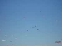Fanoe_2013_071