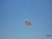 Fanoe_2013_072
