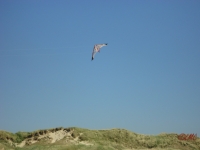 Fanoe_2013_077