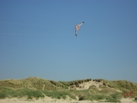 Fanoe_2013_080