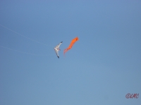 Fanoe_2013_081
