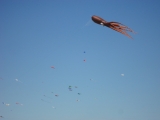 Fanoe_2013_064