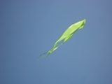 Fanoe_2013_066