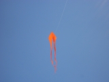 Fanoe_2013_067