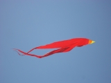 Fanoe_2013_068