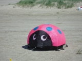Fanoe_2013_073
