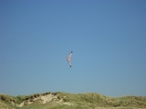 Fanoe_2013_075