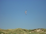 Fanoe_2013_076