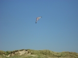 Fanoe_2013_077