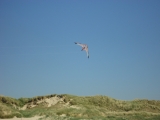 Fanoe_2013_078