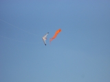 Fanoe_2013_081