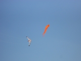 Fanoe_2013_082