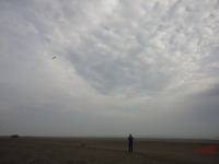 Fanoe_2013_091