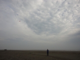Fanoe_2013_091