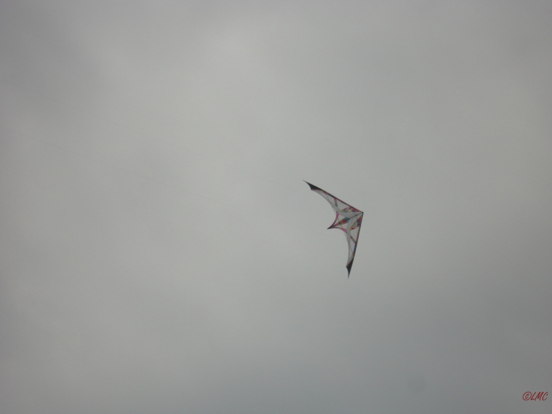 Fanoe_2013_103