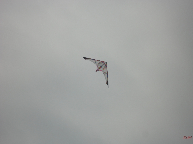 Fanoe_2013_104