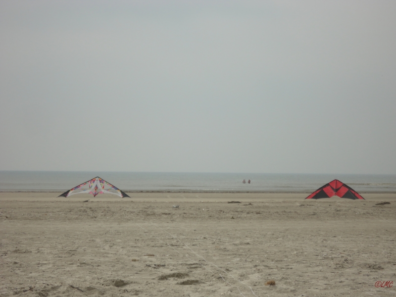 Fanoe_2013_107