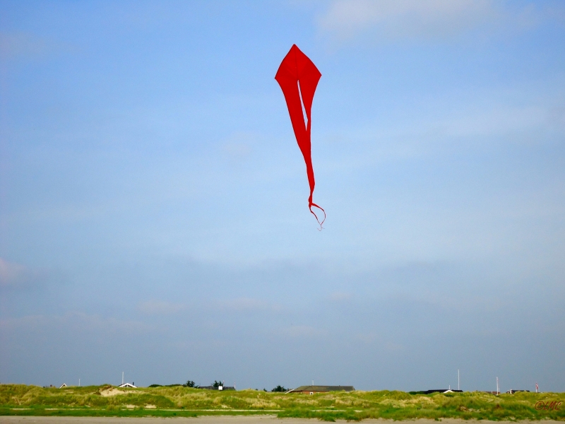 Fanoe_2013_175