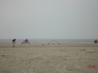 Fanoe_2013_102
