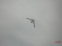 Fanoe_2013_104