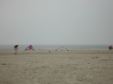 Fanoe_2013_102