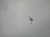 Fanoe_2013_103