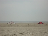 Fanoe_2013_107