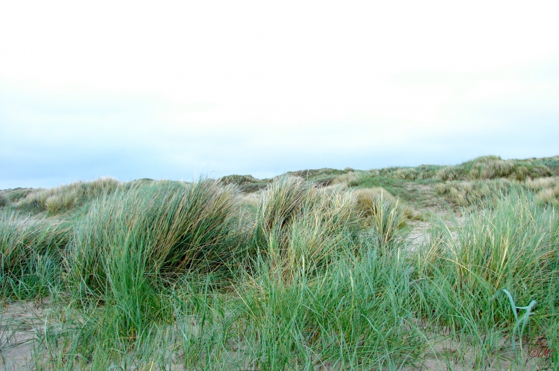 Fanoe_2013_183