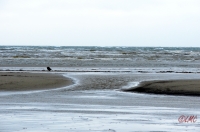 Fanoe_2013_181