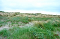 Fanoe_2013_184