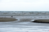 Fanoe_2013_181