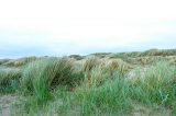 Fanoe_2013_183