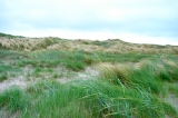 Fanoe_2013_184