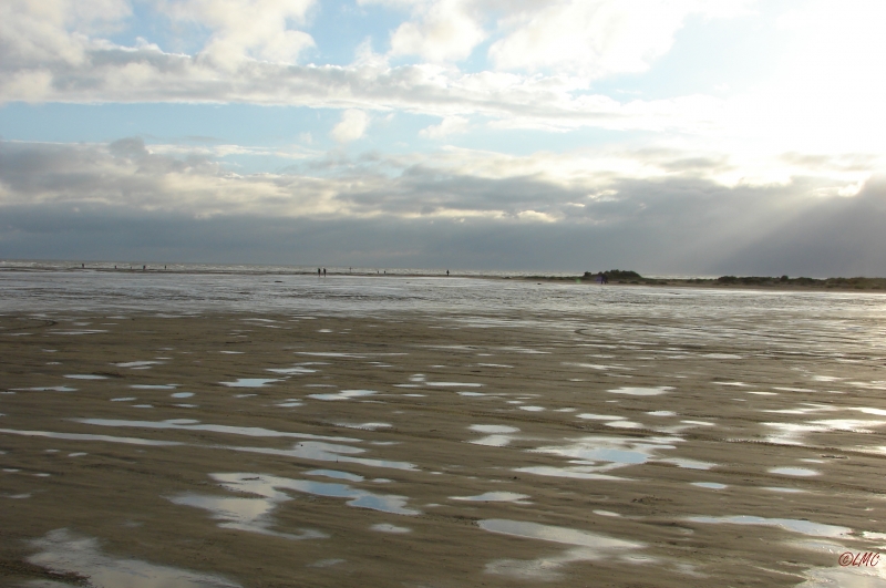 Fanoe_2013_115