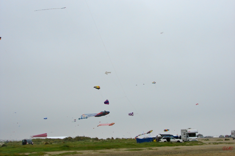 Fanoe_2013_194