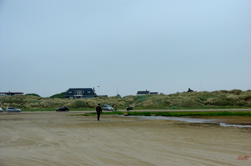 Fanoe_2013_195