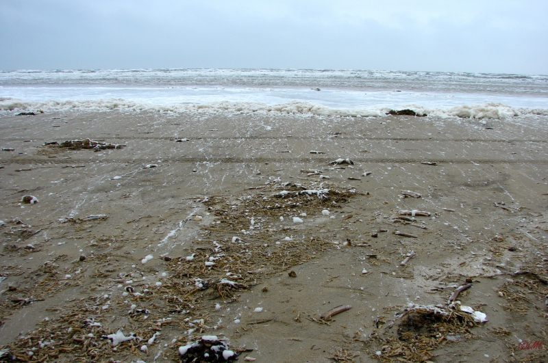 Fanoe_2013_196