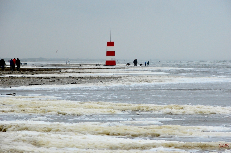 Fanoe_2013_199