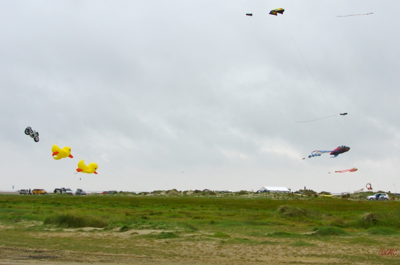 Fanoe_2013_200