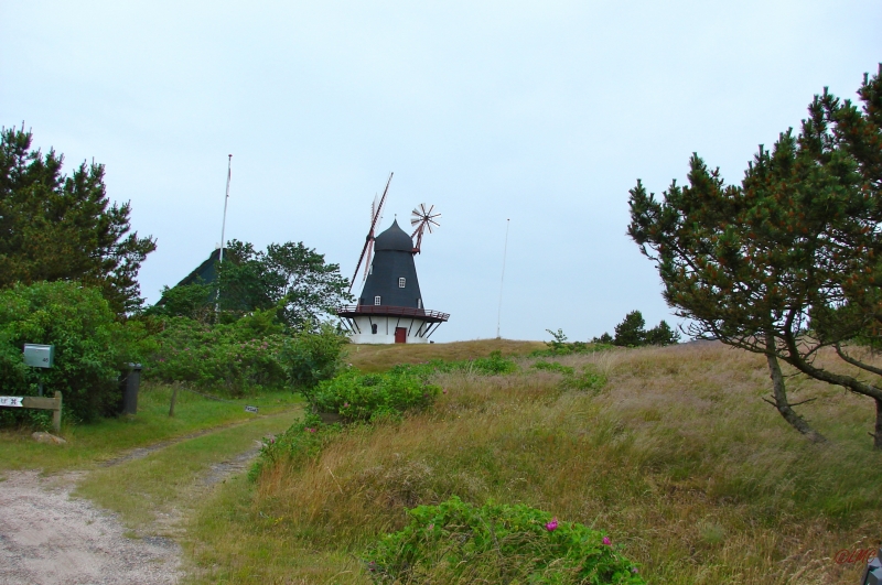 Fanoe_2013_211
