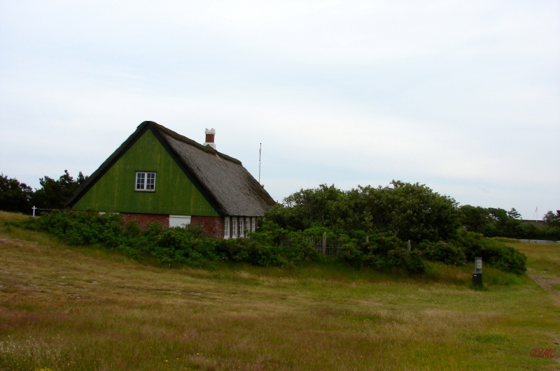 Fanoe_2013_214