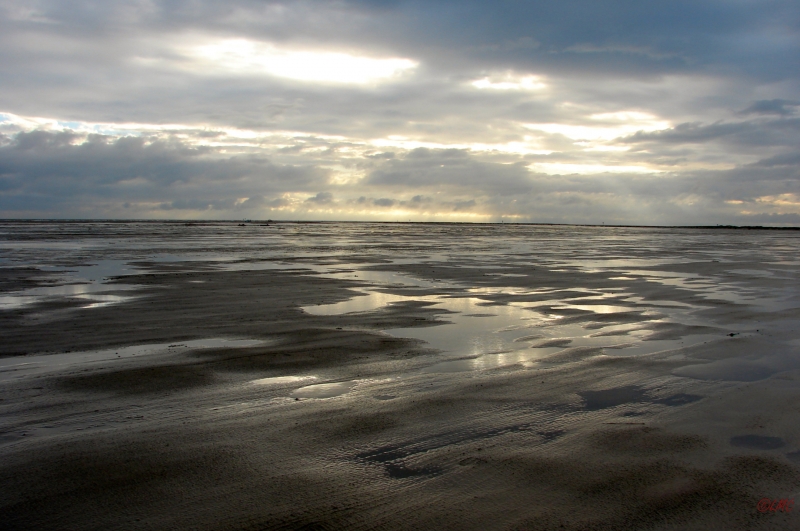 Fanoe_2013_219