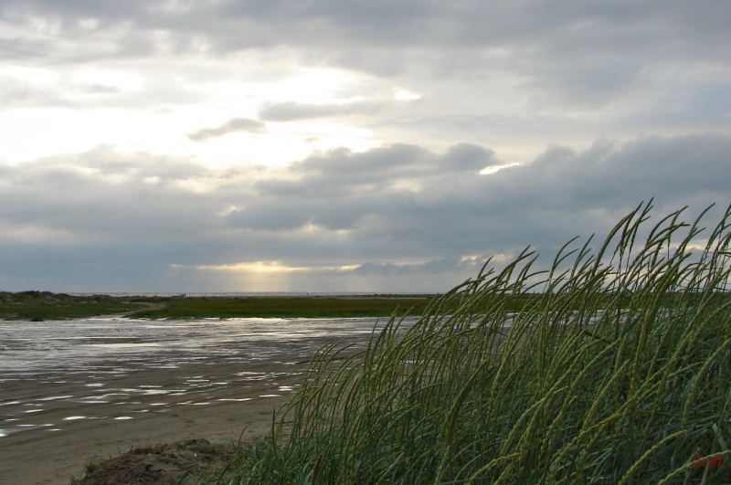 Fanoe_2013_220