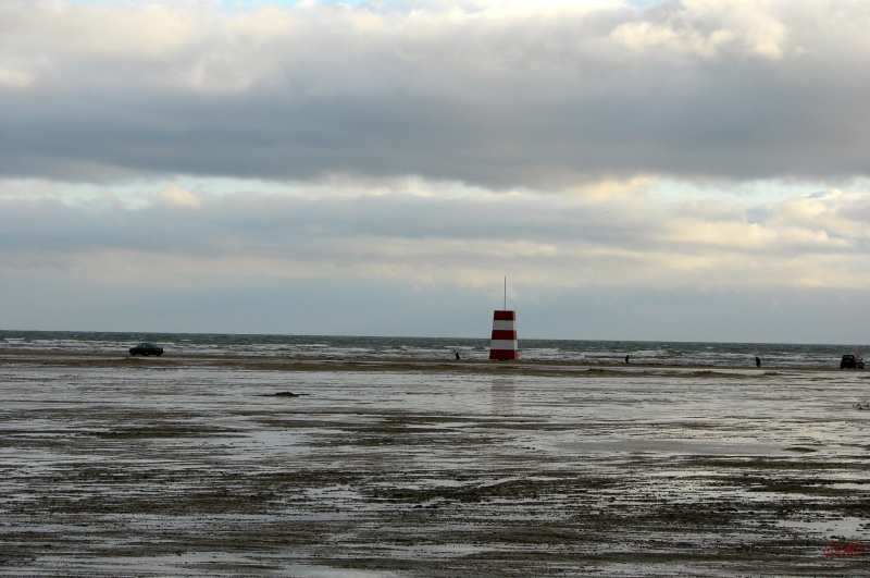 Fanoe_2013_221