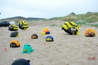 Fanoe_2013_189