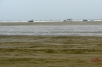 Fanoe_2013_190
